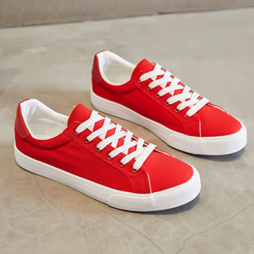 Mens Canvas Shoes