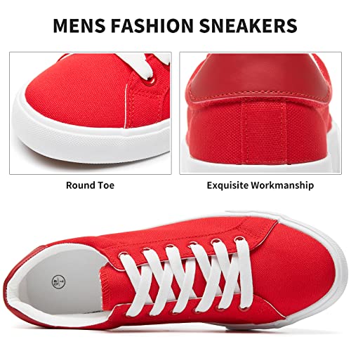 Mens Canvas Shoes